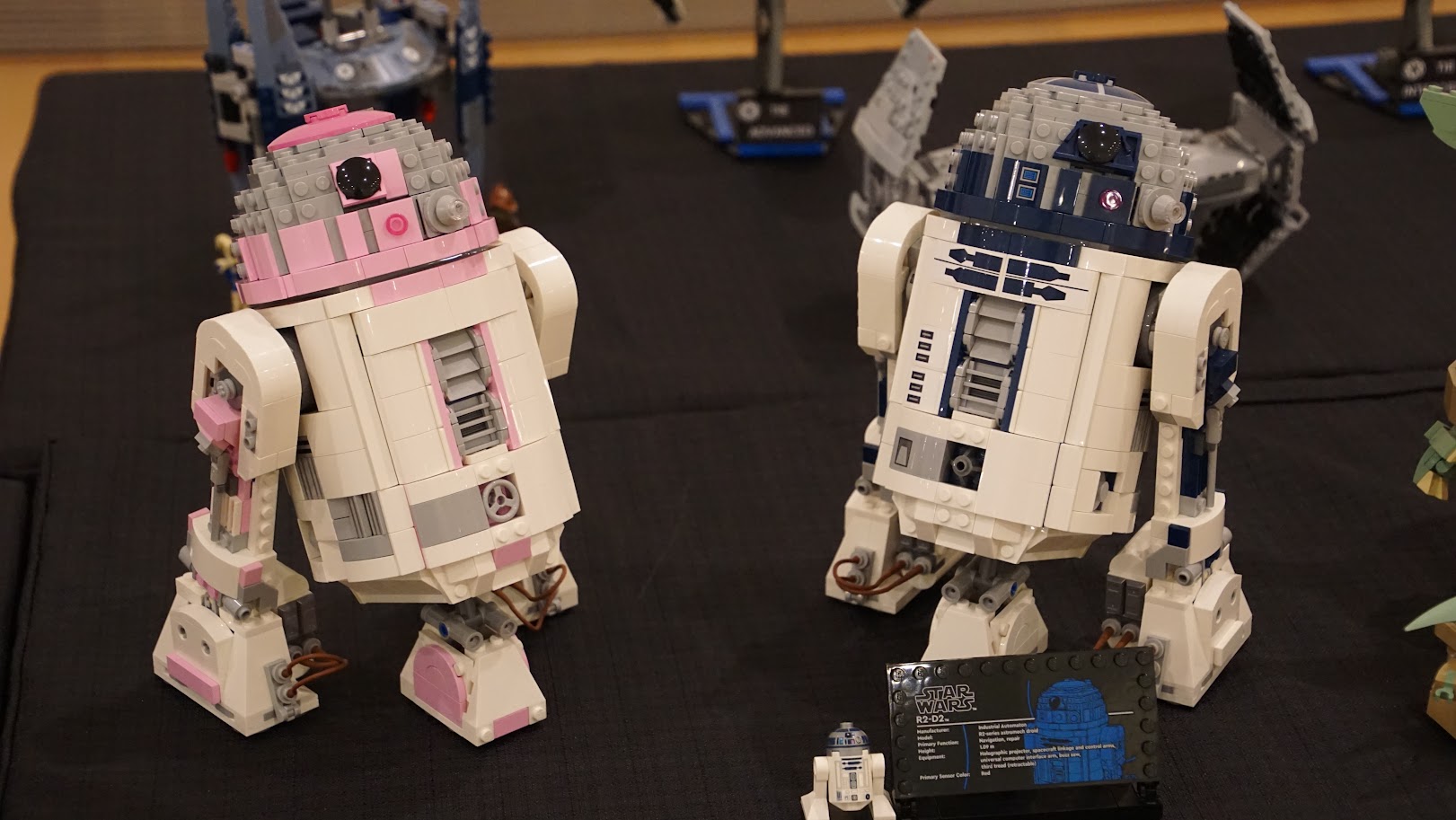 The Pink Force Day 2024 The Pink Force Day 2024